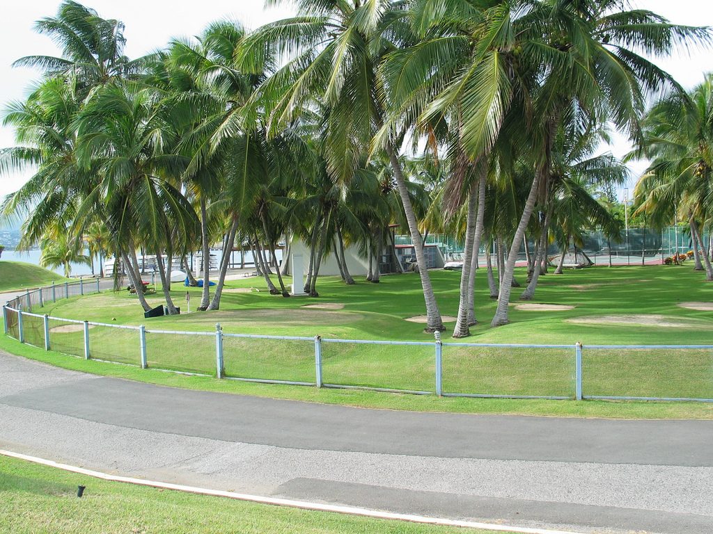 Palm-lined fairway at Club Náutico de Ponce on Puerto Rico's south coast