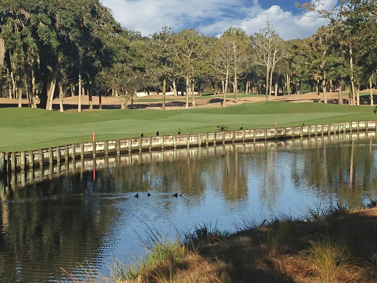 A pond and wooden bulkhead in front of a green at Kiawah Island Golf Resort, with live oaks behind